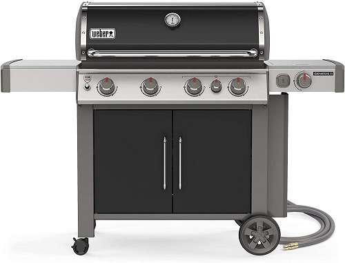 Weber 67016001 Genesis II E435