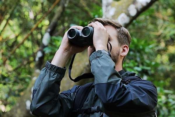 Best Binoculars For the Money